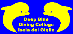 Deep Blue Diving College